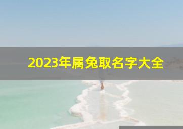 2023年属兔取名字大全,男宝起名2023年属兔