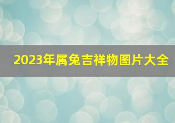 2023年属兔吉祥物图片大全,兔年本命年辟邪饰品