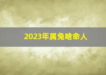 2023年属兔啥命人,2023年属兔的是什么命缺什么