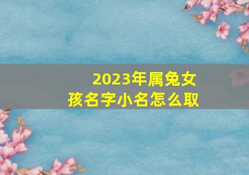 2023年属兔女孩名字小名怎么取,2023年兔宝宝独一无二的好听乳名2023年属兔最吉利的小名