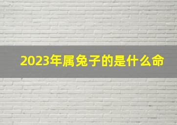 2023年属兔子的是什么命,2023的兔是什么命好不好