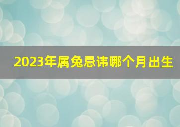 2023年属兔忌讳哪个月出生