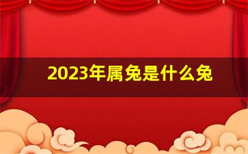 2023年属兔是什么兔,2023年属兔的是什么年