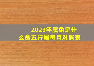 2023年属兔是什么命五行属每月对照表,2023年出生的人什么命格2023年出生的人五行属什么命