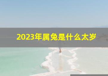 2023年属兔是什么太岁,2023年犯太岁生肖