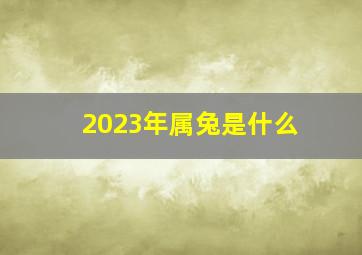 2023年属兔是什么,2023年属兔是什么命（2023年属兔是什么命金木水火土）