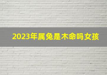 2023年属兔是木命吗女孩,2023年兔年是什么命五行属什么