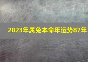 2023年属兔本命年运势87年,87年生肖兔2023年运势