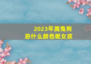 2023年属兔狗忌什么颜色呢女孩,2023年生肖兔忌讳颜色穿什么颜色衣服会破财