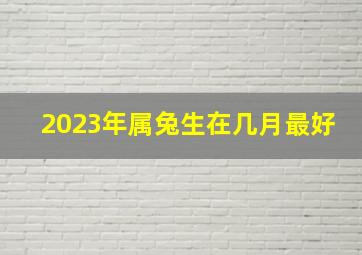 2023年属兔生在几月最好,2023年出生的兔子哪个月份好兔年几月出生命最顺