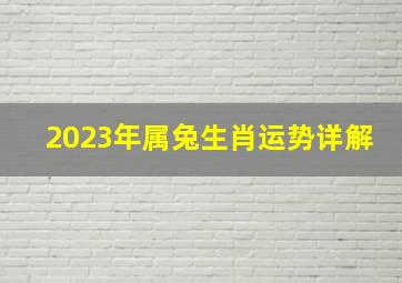 2023年属兔生肖运势详解,2023年属兔的运势和财运怎么样桃花运旺盛