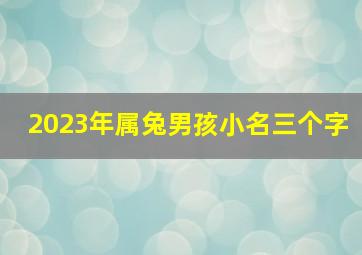 2023年属兔男孩小名三个字,2023年属兔男宝宝