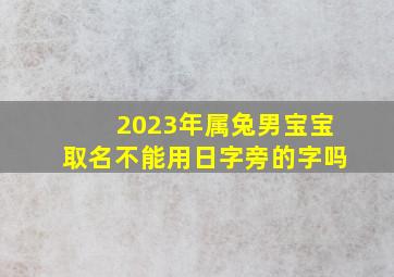 2023年属兔男宝宝取名不能用日字旁的字吗,属兔宝宝起名宜用字和不宜用字2023满分孩子名字推荐