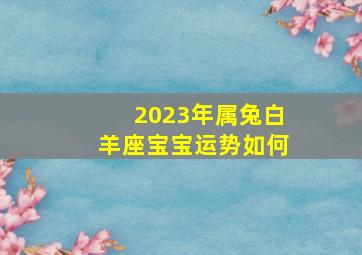 2023年属兔白羊座宝宝运势如何,白羊座2023年事业运势