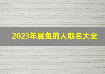 2023年属兔的人取名大全,2023年属兔取名宜用字2023属兔宝宝起名宜用字大全