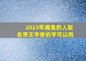 2023年属兔的人取名带王字旁的字可以吗,2023兔年王姓宝宝取名属兔姓王起什么名字吉利