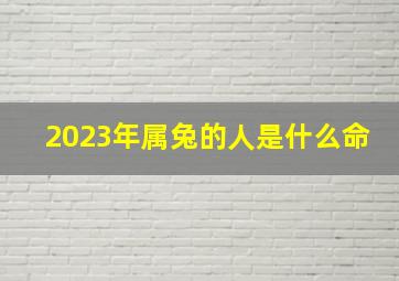 2023年属兔的人是什么命,2023年兔年是什么命2023年最佳出生日期