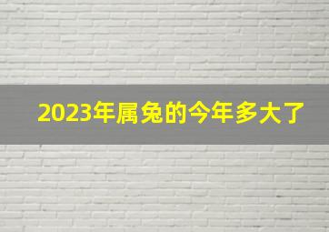 2023年属兔的今年多大了,属兔的2023年多大