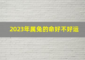 2023年属兔的命好不好运,2023年属兔的人全年运势好吗不甚理想小心应对