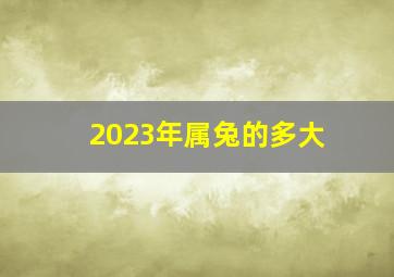 2023年属兔的多大,87年属兔2023年多大