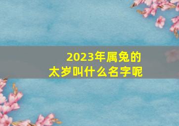 2023年属兔的太岁叫什么名字呢,属兔的人哪年犯太岁2023年犯太岁