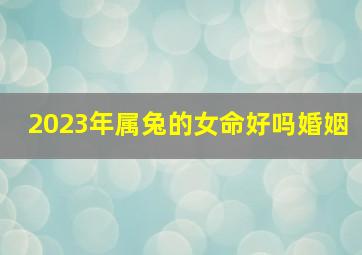 2023年属兔的女命好吗婚姻,2023年属兔的命运