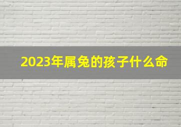 2023年属兔的孩子什么命,2023年属兔的是什么命男孩大富大贵水兔之命