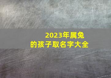 2023年属兔的孩子取名字大全,属兔宝宝取名宜用字2023年吉利的新生儿名字