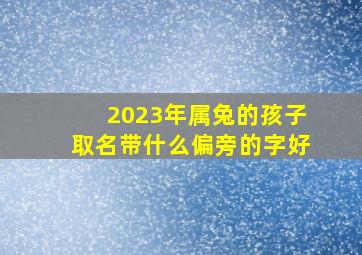 2023年属兔的孩子取名带什么偏旁的字好,2023年兔年宝宝名字温润如玉潇洒恣意的宝宝取名