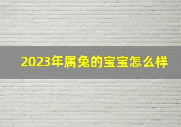 2023年属兔的宝宝怎么样,2023年属兔五行属什么命2023年出生的属兔人性格