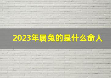 2023年属兔的是什么命人,2023年属兔什么水命2023年什么命金木水火土