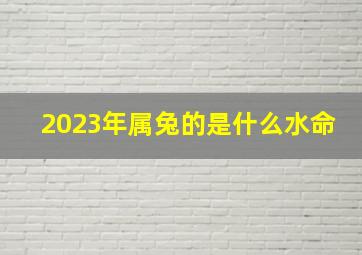 2023年属兔的是什么水命,2023年属兔的是什么命格