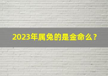 2023年属兔的是金命么？