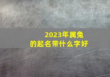 2023年属兔的起名带什么字好,2023兔宝宝取名宜用字