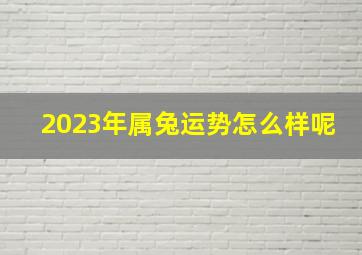 2023年属兔运势怎么样呢,2023年属兔人的全年运势如何2023年属兔人的财运怎么样