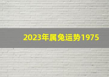 2023年属兔运势1975,本命年：1975年属兔的人2023年桃花运