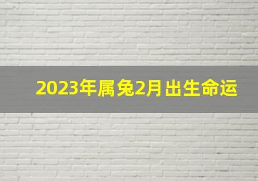 2023年属兔2月出生命运,2023年闰二月属兔出生的人好吗有责任感一生幸福