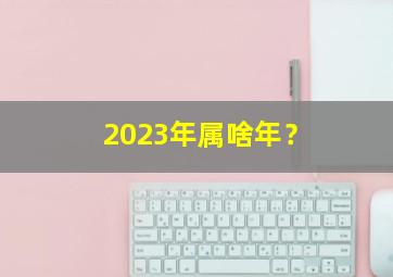 2023年属啥年？