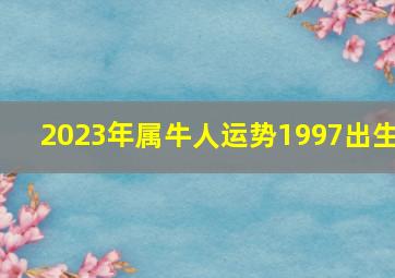 2023年属牛人运势1997出生,97年属牛的2023年虚岁多大