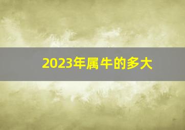 2023年属牛的多大,属牛年龄查询表对照表对应岁数多大