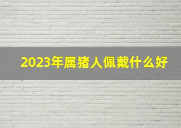 2023年属猪人佩戴什么好,2019年出生属猪人2023年运势及运程