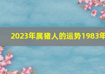 2023年属猪人的运势1983年,1983年属猪人2023年运势运程40岁属猪人的运势