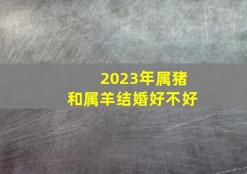 2023年属猪和属羊结婚好不好,2023年兔年对属羊的好不好运势旺盛无压力