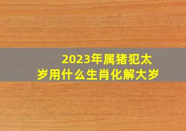 2023年属猪犯太岁用什么生肖化解大岁,属猪2022犯太岁化解