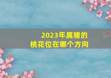 2023年属猪的桃花位在哪个方向,2021年生肖猪桃花运程桃花方位在哪个方向