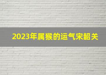 2023年属猴的运气宋韶关,2023年属猴人怎样样会有好运气吗