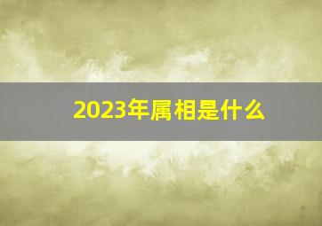 2023年属相是什么,2023年属什么生肖属相