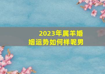 2023年属羊婚姻运势如何样呢男,属羊人2023年最佳姻缘配对