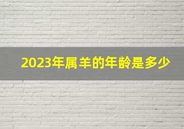 2023年属羊的年龄是多少,2003年到2023年虚岁多大