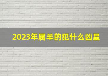 2023年属羊的犯什么凶星,79年羊男2023年运势及运程每月运程五月运气